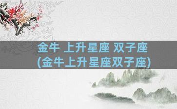 金牛 上升星座 双子座(金牛上升星座双子座)